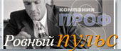 Аудит-Проф