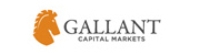 Лого Gallant Capital Markets