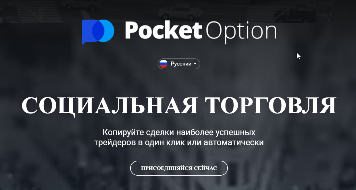 Программы для инвестирования от PocketOption