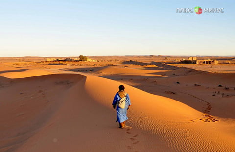 В пустыне Сахара появятся «зеленые» продуктовые фермы