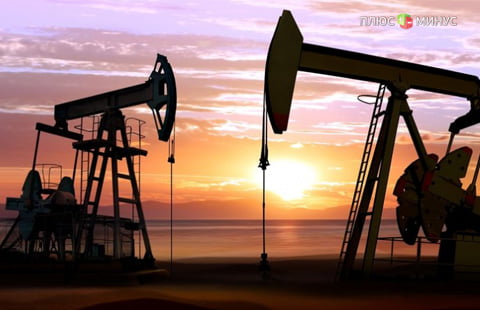 Нефтепроизводители не договорились о заморозке уровня добычи