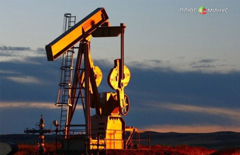 Мексика потратила более $1 млрд на фиксацию стоимости нефти Мексика потратила более $1 млрд на фиксацию стоимости нефти