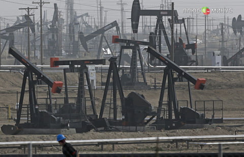 На рынок нефти вышли «быки» На рынок нефти вышли «быки»