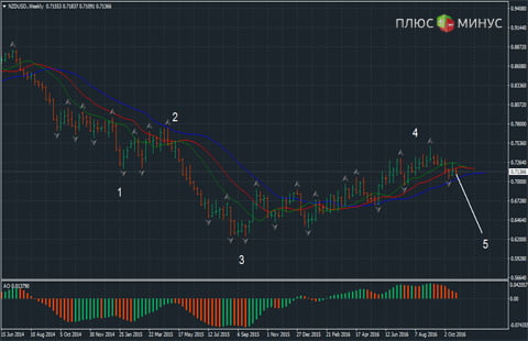 Новозеландец продолжит снижение