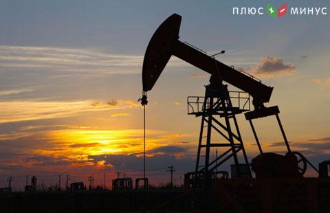 Экспорт нефти из России вырастет в 2017 г Экспорт нефти из России вырастет в 2017 г