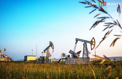 Цена нефти протестирует словесные интервенции OPEC Цена нефти протестирует словесные интервенции OPEC