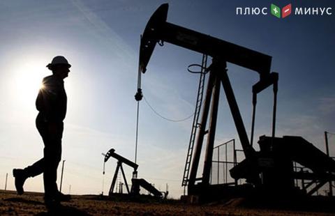 Цена нефти не может вырасти из-за США Цена нефти не может вырасти из-за США