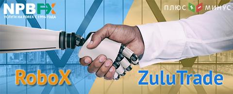 Куда инвестировать выгодно: выбираем между RoboX и ZuluTrade