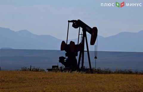 Ирак пытается поднять цены на свою нефть Ирак пытается поднять цены на свою нефть