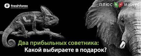 Прибыльный советник в подарок от FreshForex! Прибыльный советник в подарок от FreshForex!