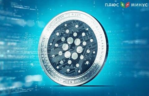Криптобиржа OKEx раздаст 800 тысяч монет Криптобиржа OKEx раздаст 800 тысяч монет