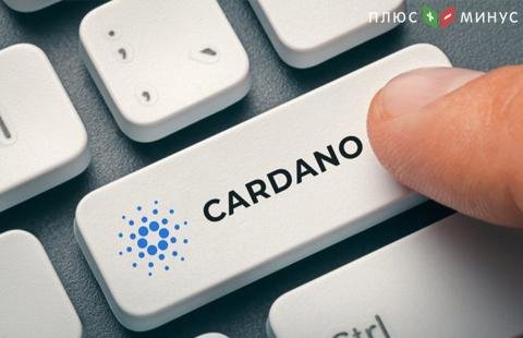 Криптобиржа Kraken добавила в листинг Cardano и Qtum