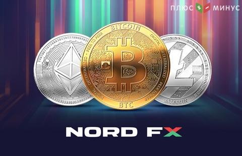 NordFX предложила своим клиентам лекарство от "криптопохмелья" NordFX предложила своим клиентам лекарство от "криптопохмелья"