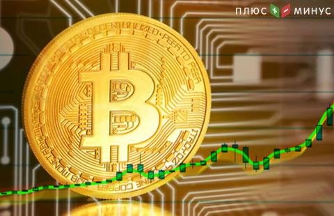Большинство криптобирж фальсифицирует объем торгов bitcoin - Bitwise Большинство криптобирж фальсифицирует объем торгов bitcoin - Bitwise