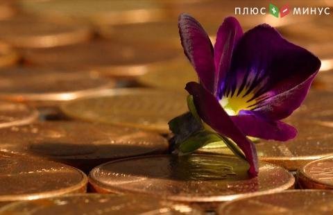 На границе РФ и Китая появится новый финансовый центр На границе РФ и Китая появится новый финансовый центр