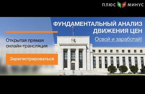 Инструменты фундаментального анализа рынка на обучающим вебинаре 