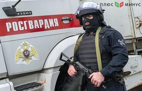 Росгвардия пополнила бюджет страны за счет изъятого у населения оружия