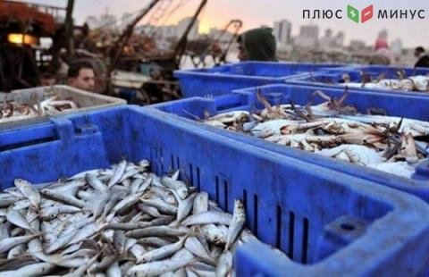 Обороты производства аквакультуры в РФ увеличились на 3,9%, не смотря на санкции