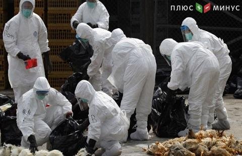 Очаг птичьего гриппа ликвидирован в Украине