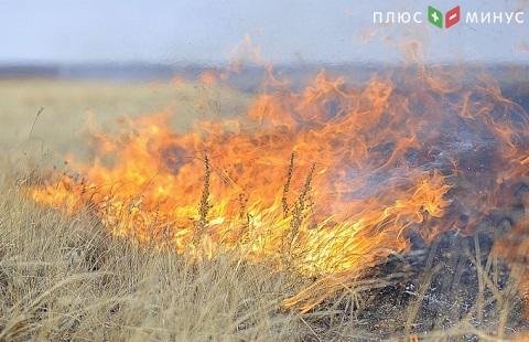 Псоледствия ЧС для российских аграриев Псоледствия ЧС для российских аграриев