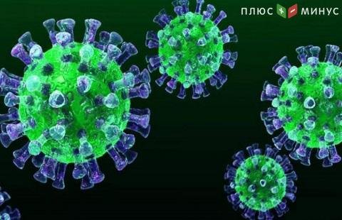 В Россию завезли коронавирус