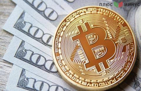 Посчитали количество владельцев криптовалюты