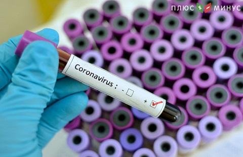 Коронавирус добрался до Бельгии