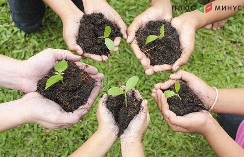 Украинские нардепы попытаются принять земельную реформу