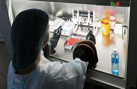 Медики из России не получили живой штамм коронавируса