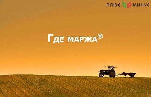 К 2025 году российские аграрии намерены собирать 140 млн тонн зерновых