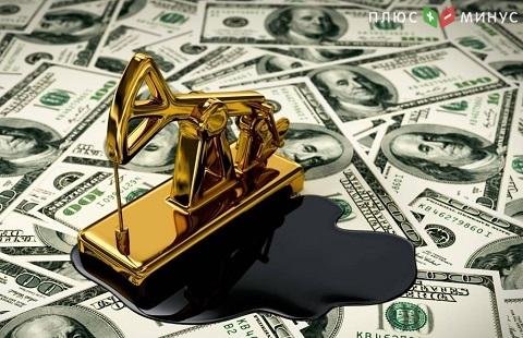 Котировки цен на нефть не изменились Котировки цен на нефть не изменились
