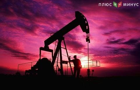 Россия внимательно изучает рекомендации ОПЕК+