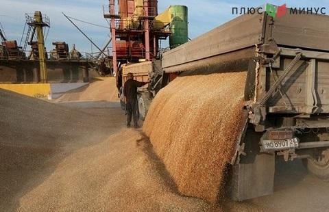 Минсельхоз США планирует экспортировать 34 млн тонн пшеницы из России