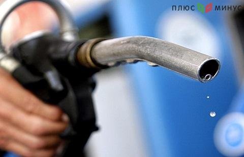 Бензин вырос в цене на 0,2%