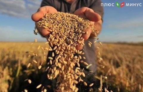 Условия агрострахования будут пересматриваться Условия агрострахования будут пересматриваться