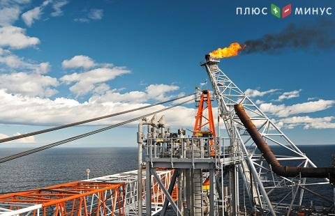 Из-за теплого февраля стоимость газа на торгах упала Из-за теплого февраля стоимость газа на торгах упала