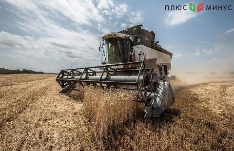 Россия поставит на внешине рынки запланированное количество зерна