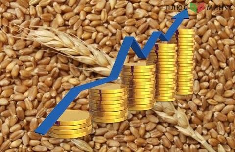 1,5 млн тонн зерна будет направлена на внутренний рынок России