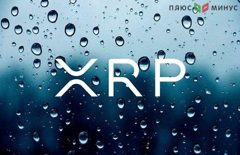 Пользователей XRP становится меньше