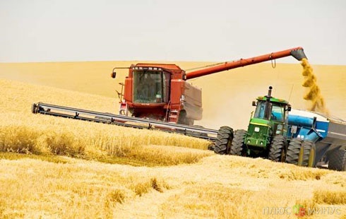Валовой сбор зерна сократится на 5 млн тонн