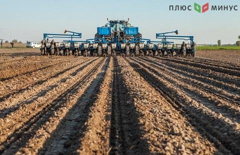 Три области РФ испытают программу повышения урожайности