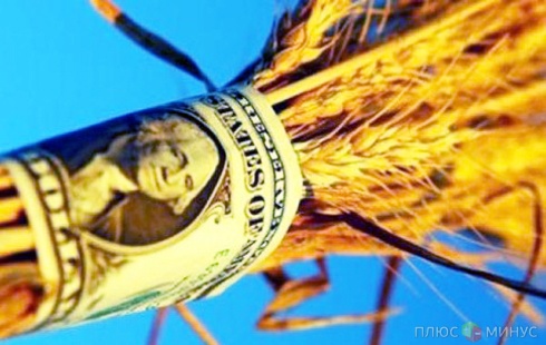 Украина намерена расплачиваться пшеницей за газ