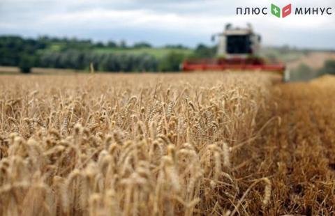 Правительство Украины оценило объем урожая в текущем году Правительство Украины оценило объем урожая в текущем году