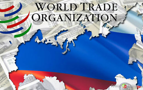 После вступления в ВТО Россия увеличит импорт готовой продукции