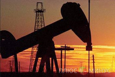 Чехия не получит полный объем нефти из России Чехия не получит полный объем нефти из России