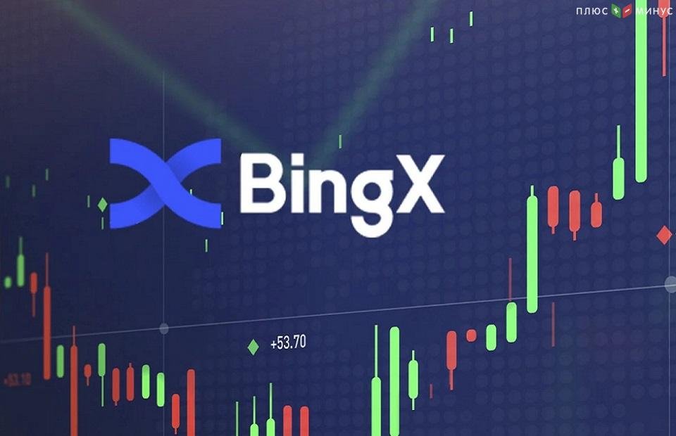 BingX начала процесс интеграции с MT5 BingX начала процесс интеграции с MT5