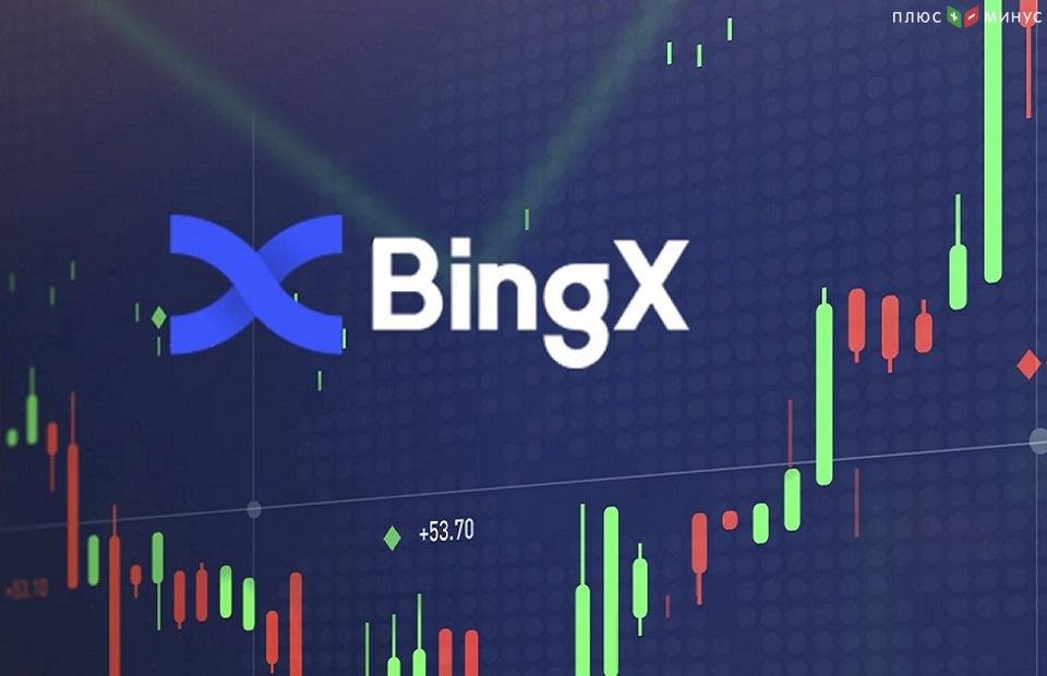 BingX начала процесс интеграции с MT5