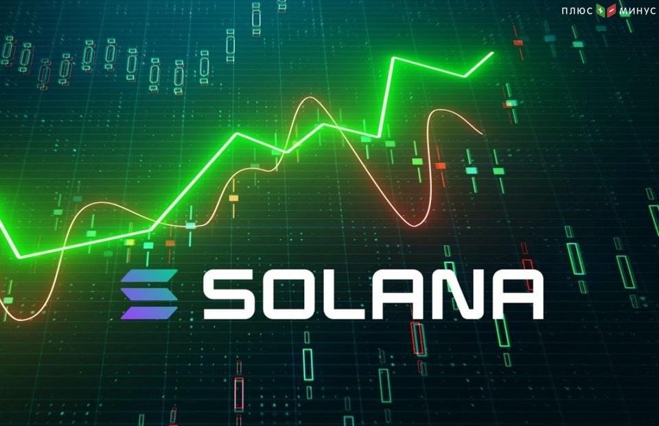 Активность криптоинвесторов увеличила объем торгов Solana на 75 процентов