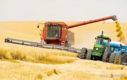 Урожай зерна в 2012 году составит 75 миллионов тонн
