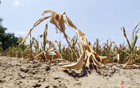 Засуха в США загонит страховщиков в финансовый тупик